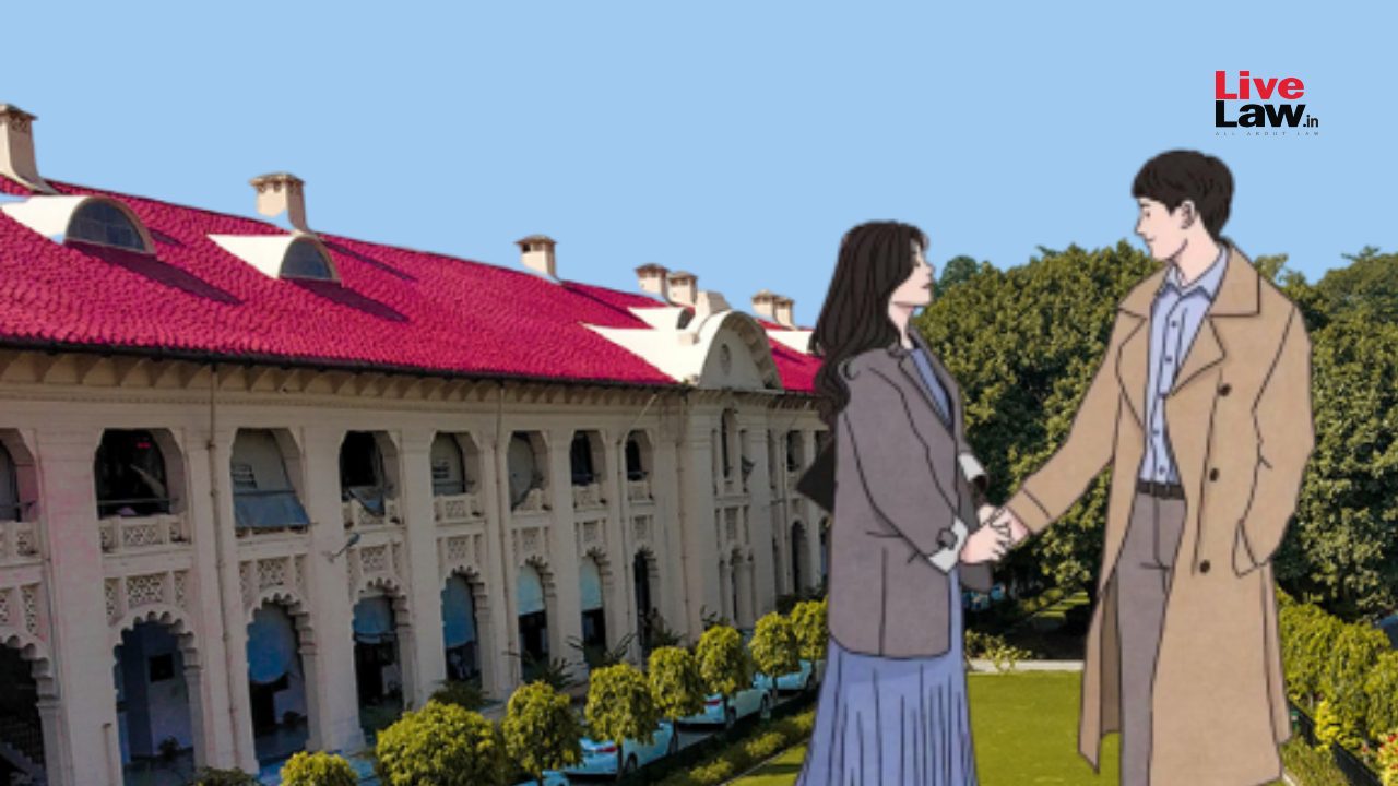 Allahabad HC divided on live-in relationships of married persons