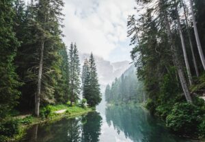India's Forest Cover — ISFR 2023 Quick Facts for Govt. Exam GK