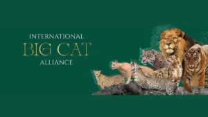 International Big Cat Alliance: New Delhi Declaration & June 2026 Summit — Govt. Exams 2026-27 Environmental Law Analysis