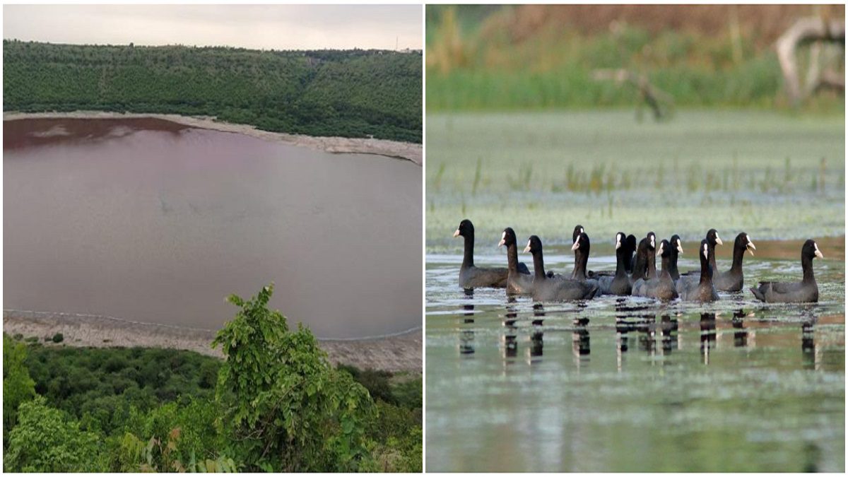 Lonar Lake Maharashtra Ramsar site representing State Lake Conservation Plan