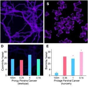 CDKN1B Gene Discovery: Why Breast Cancer Therapy Fails — Right to Health & Govt. Exams 2026-27 Analysis