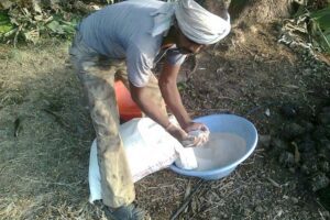 Fertiliser Policy Reform Amid Hormuz Crisis: PM-KISAN, WTO Subsidies, and Art. 47-48 DPSP — Current Affairs