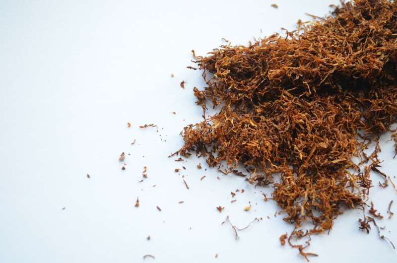 ICMR-TISS tobacco study in BMJ Global Health — 20 million Indian households could rise a class