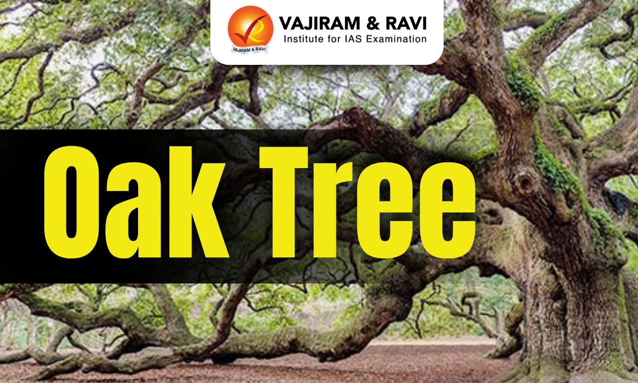 Himalayan oak trees and energy-food nexus amid Iran crisis environmental concerns