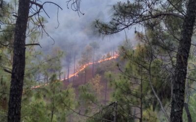 Uttarakhand Forest Fires Article 48A Govt. Exams 2026-27